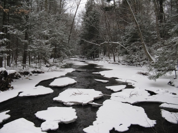 Landscape photo of a river in winter