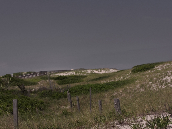 Landscape photo of sand dunes