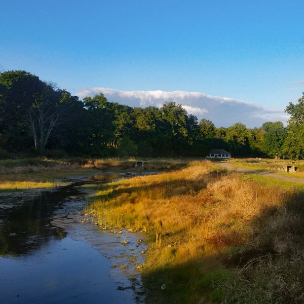 Landscape photo of a fish hatchery