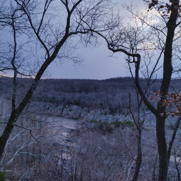 Landscape photo of a river in winter