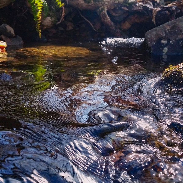 Macro photo of flowing water