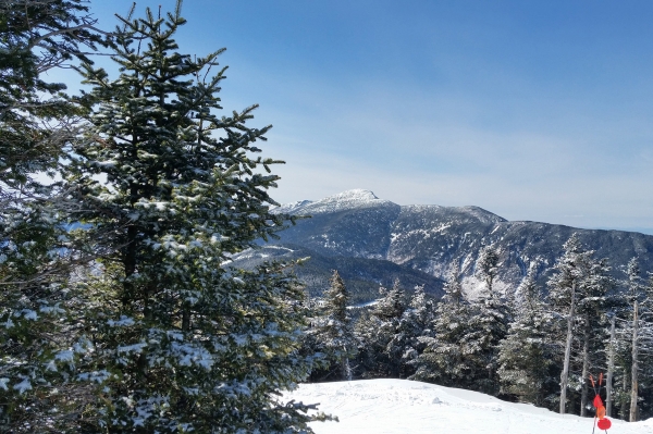 Landscape photo of a mountain