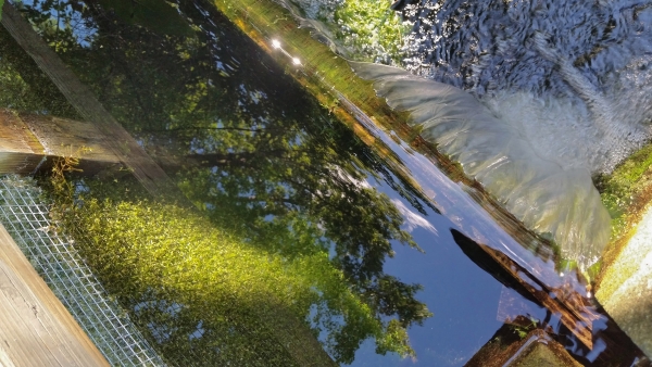 Macro photo of flowing water